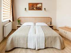 Zimmerbild 6