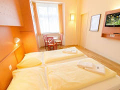 Zimmerbild 11