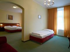 Zimmerbild 12
