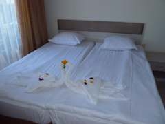 Zimmerbild 11