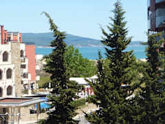 Zimmerbild 12
