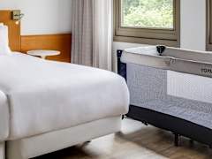 Zimmerbild 9