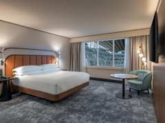 Zimmerbild 5