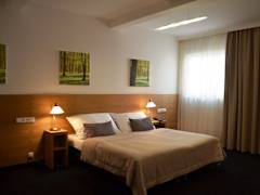 Zimmerbild 16