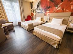 Zimmerbild 6