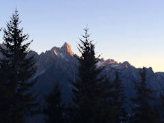 Zimmerbild 5
