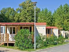 Zimmerbild 5