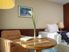 Zimmerbild 11