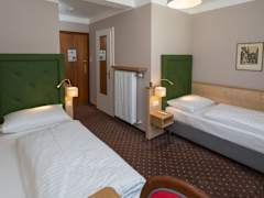 Zimmerbild 8