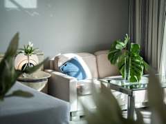 Zimmerbild 3