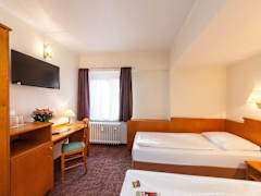 Zimmerbild 6