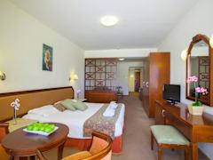 Zimmerbild 8