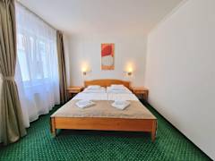 Zimmerbild 9