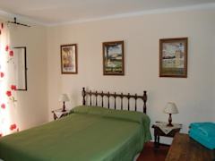Zimmerbild 8
