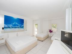 Zimmerbild 4