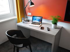 Zimmerbild 11