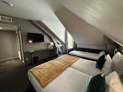 Zimmerbild 4