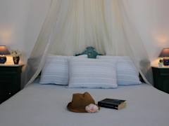 Zimmerbild 8