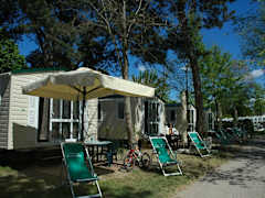 Zimmerbild 17
