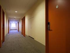 Zimmerbild 0