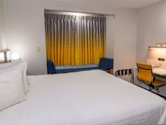 Zimmerbild 5