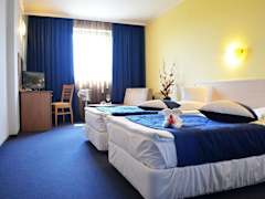 Zimmerbild 6