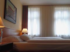 Zimmerbild 6