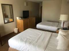 Zimmerbild 11