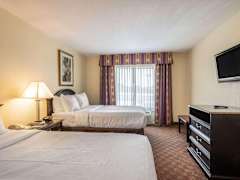 Zimmerbild 19