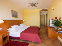 Zimmerbild 6
