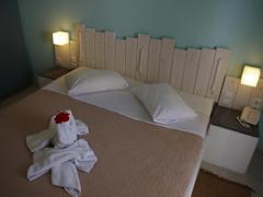 Zimmerbild 8