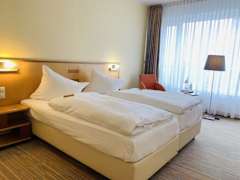 Zimmerbild 8