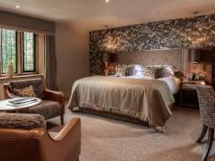 Zimmerbild 4