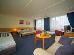 Zimmerbild 6