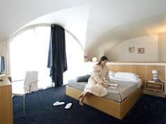 Zimmerbild 7