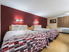 Zimmerbild 6