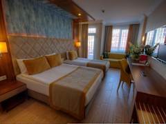 Zimmerbild 11