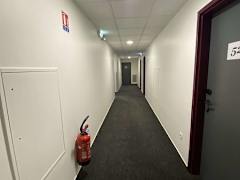 Zimmerbild 3