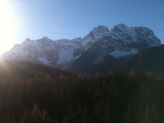 Zimmerbild 6