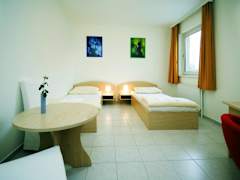 Zimmerbild 8