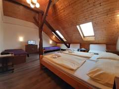 Zimmerbild 8