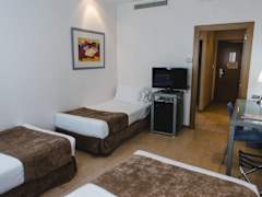 Zimmerbild 9