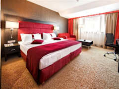Zimmerbild 8
