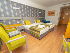 Zimmerbild 6