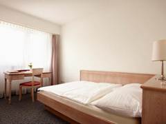Zimmerbild 11