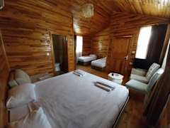 Zimmerbild 3