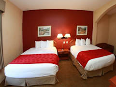 Zimmerbild 6