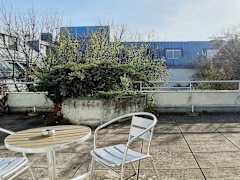 Zimmerbild 12