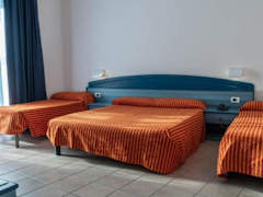 Zimmerbild 6