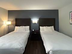 Zimmerbild 7